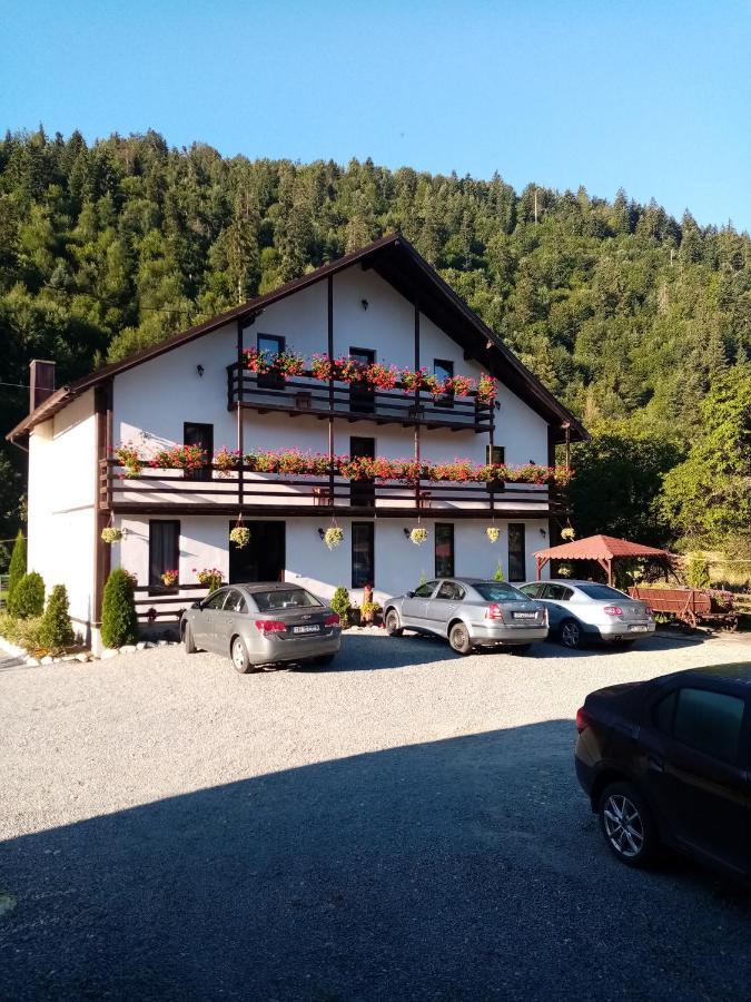 Villa Casa Ursului Vadu Motilor Esterno foto