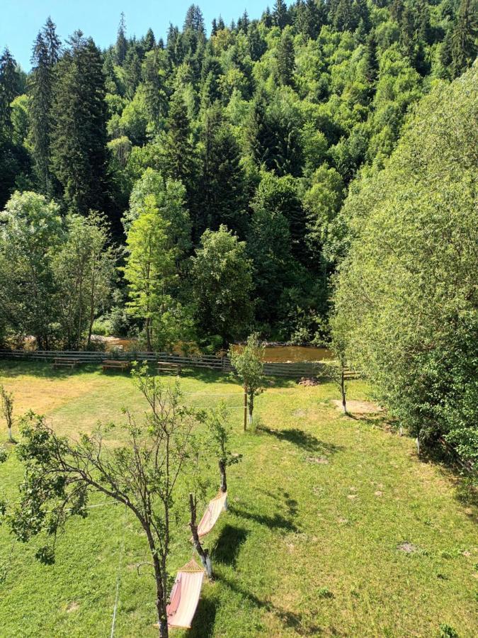 Villa Casa Ursului Vadu Motilor Esterno foto