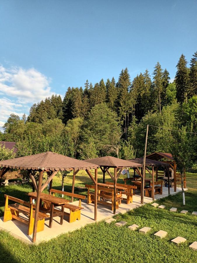 Villa Casa Ursului Vadu Motilor Esterno foto