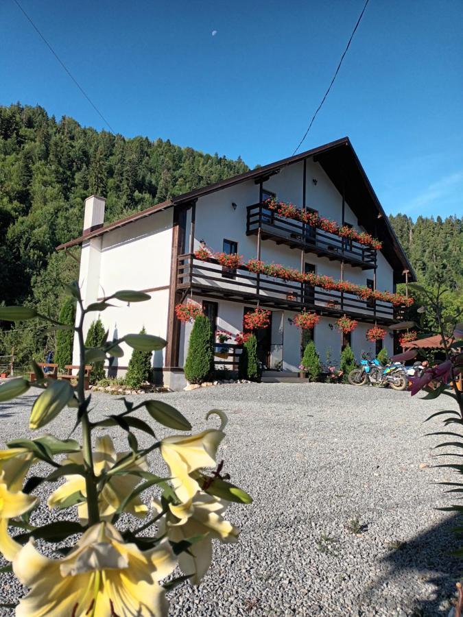 Villa Casa Ursului Vadu Motilor Esterno foto