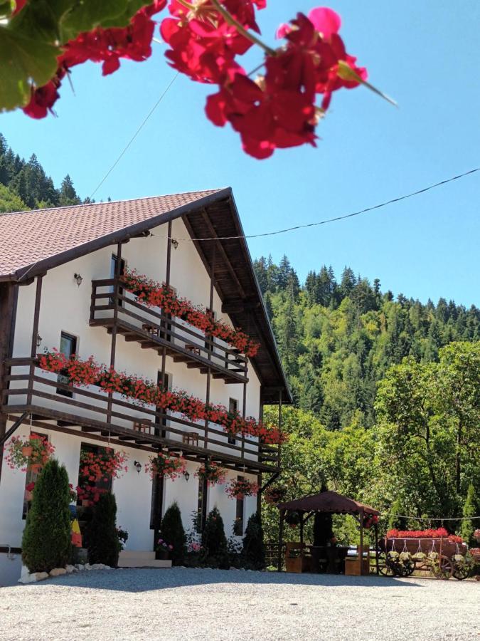 Villa Casa Ursului Vadu Motilor Esterno foto