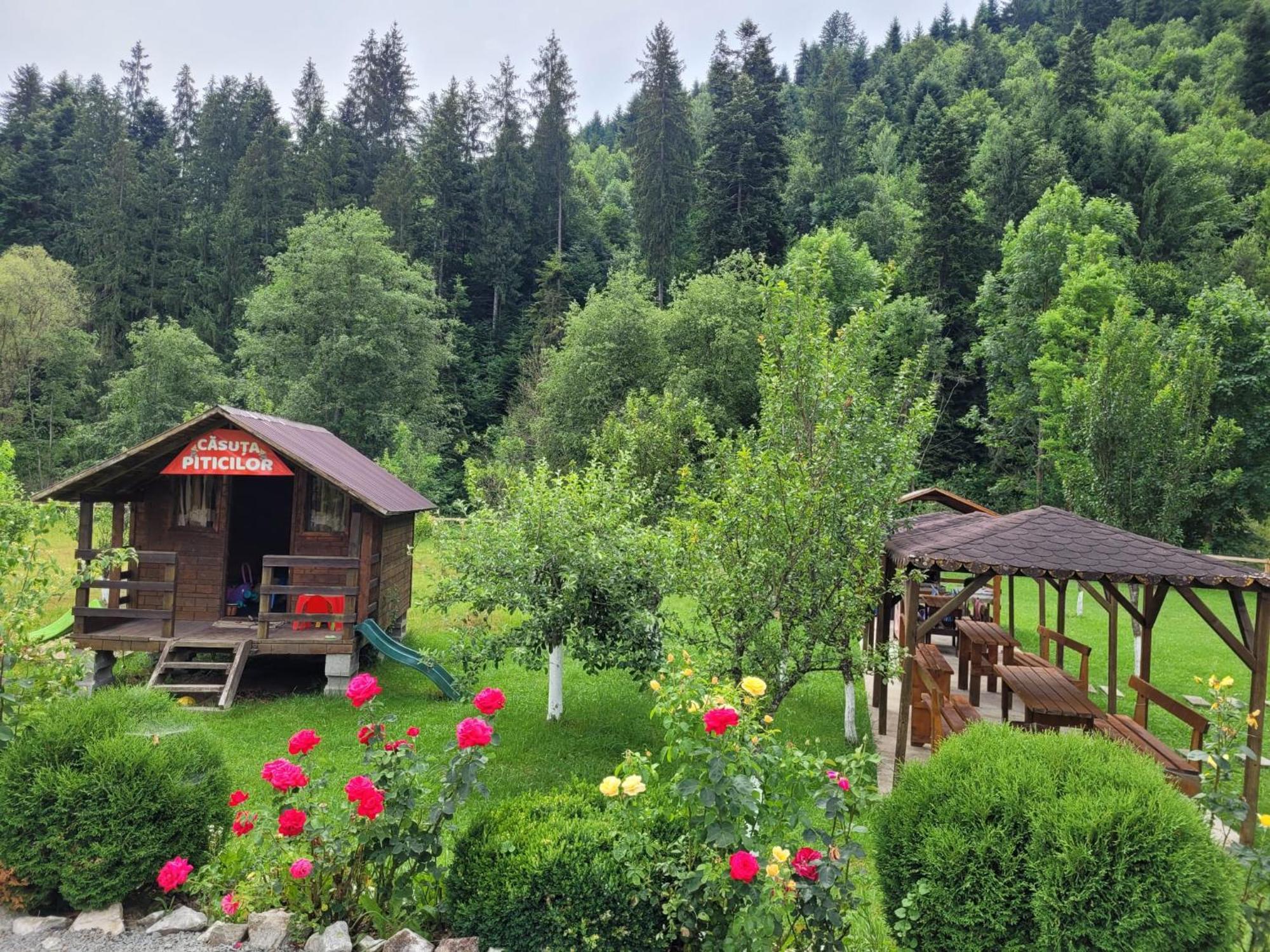 Villa Casa Ursului Vadu Motilor Esterno foto