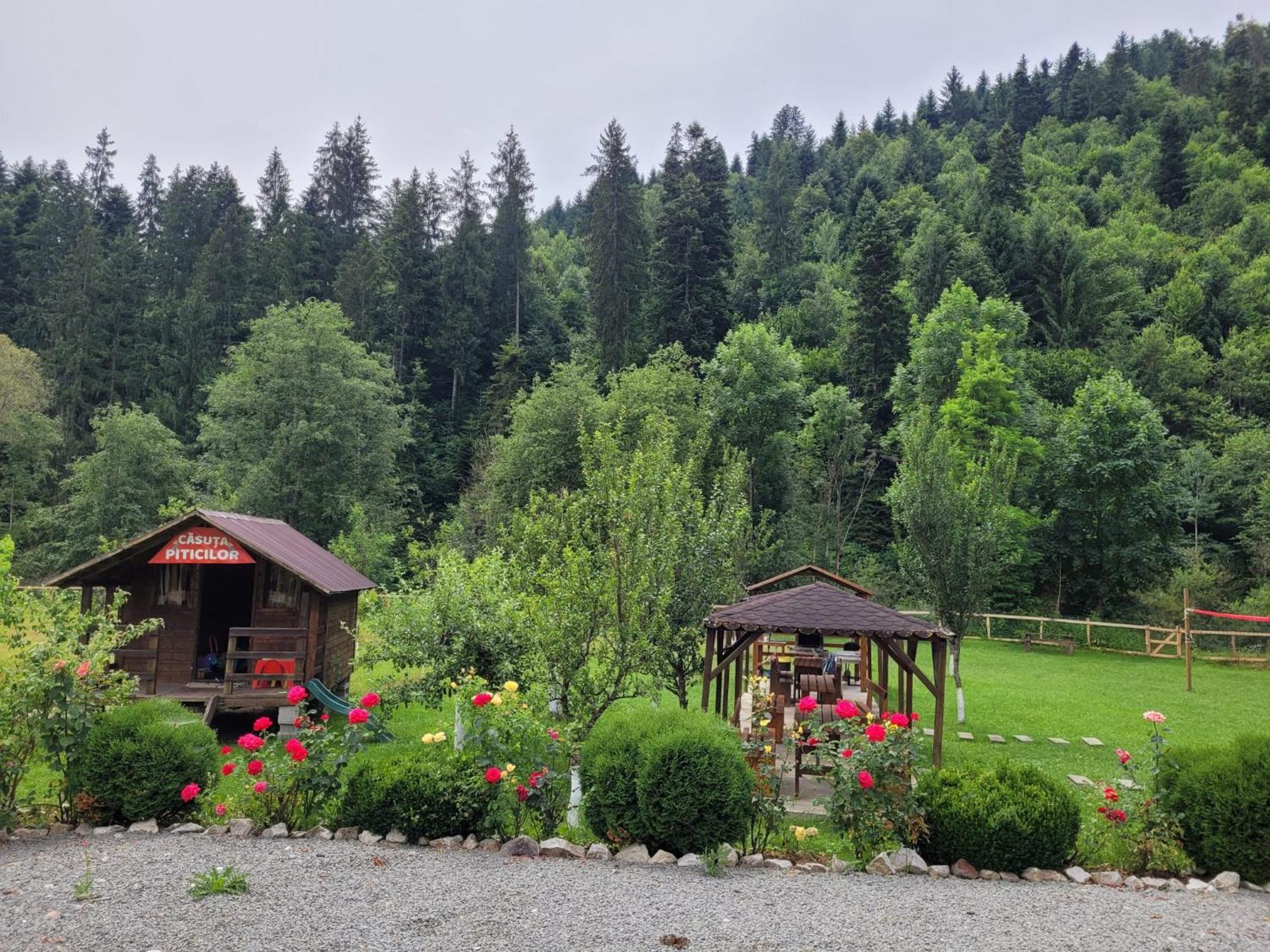 Villa Casa Ursului Vadu Motilor Esterno foto