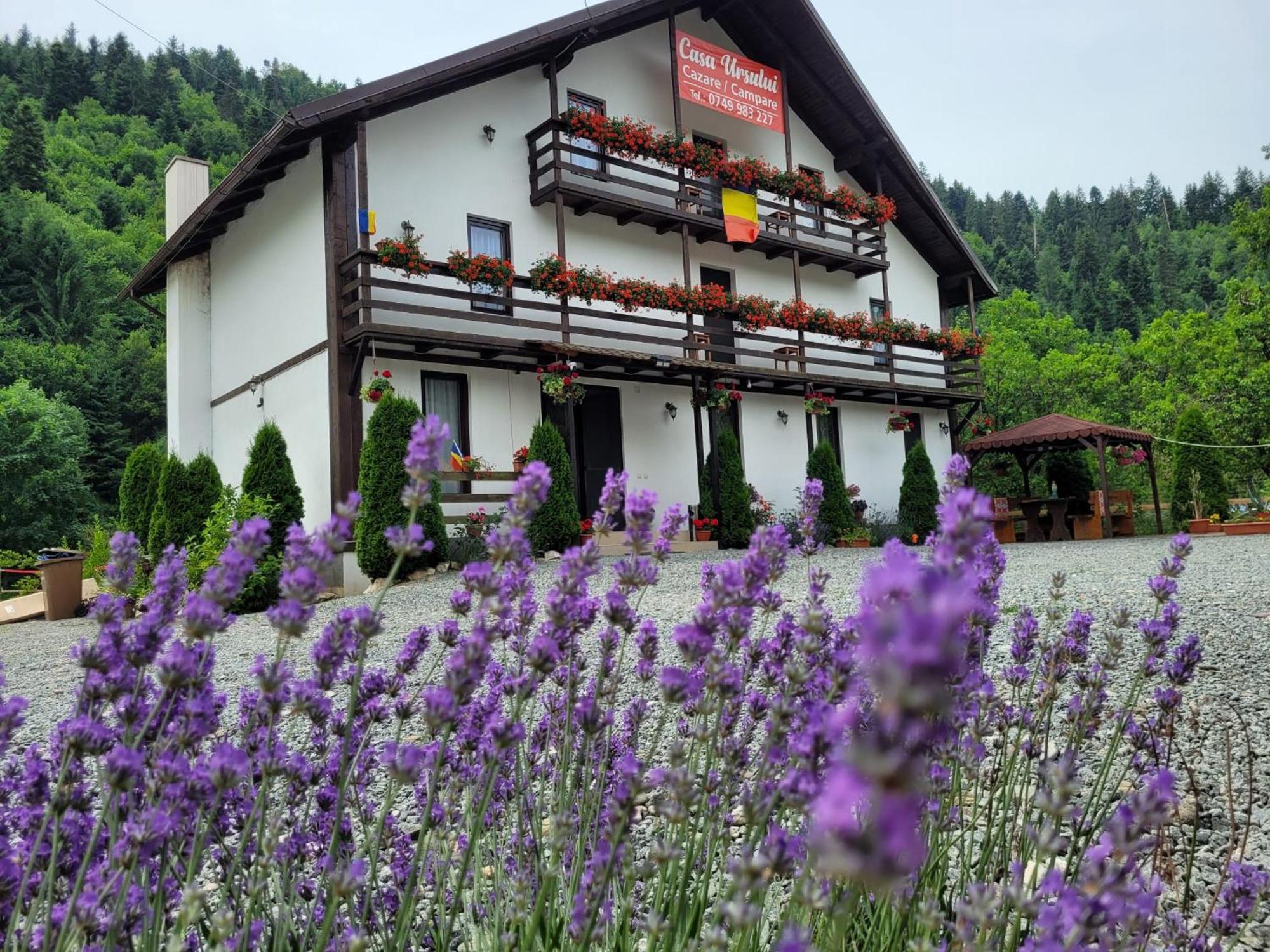 Villa Casa Ursului Vadu Motilor Esterno foto