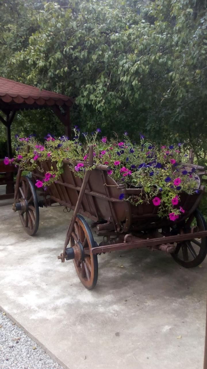 Villa Casa Ursului Vadu Motilor Esterno foto