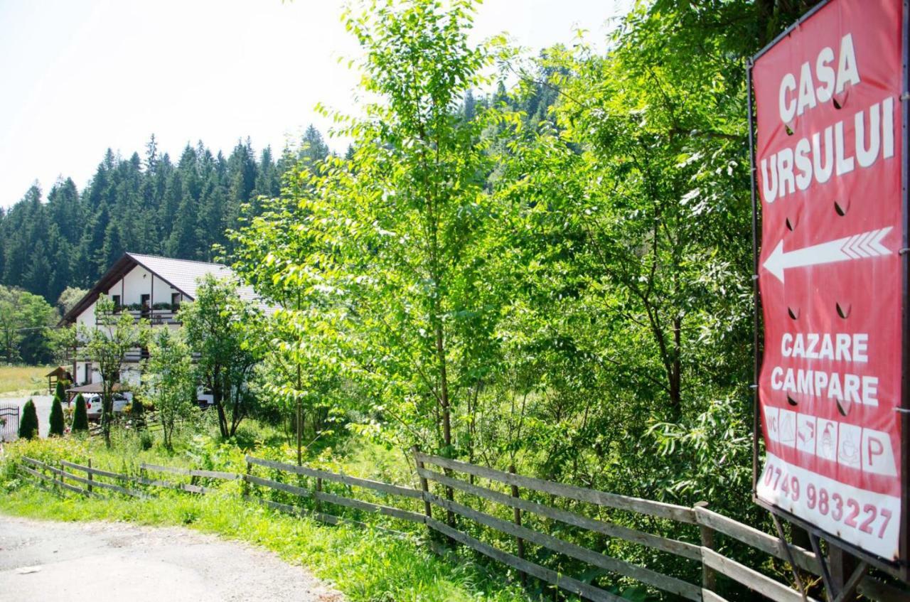 Villa Casa Ursului Vadu Motilor Esterno foto