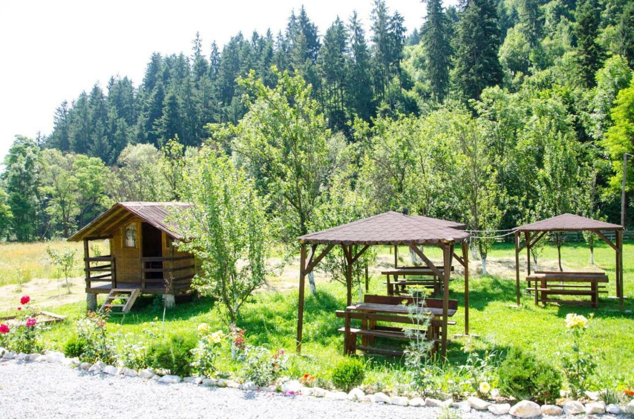 Villa Casa Ursului Vadu Motilor Esterno foto