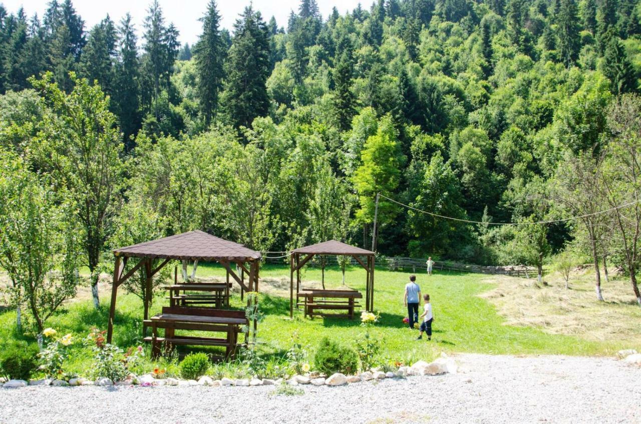 Villa Casa Ursului Vadu Motilor Esterno foto